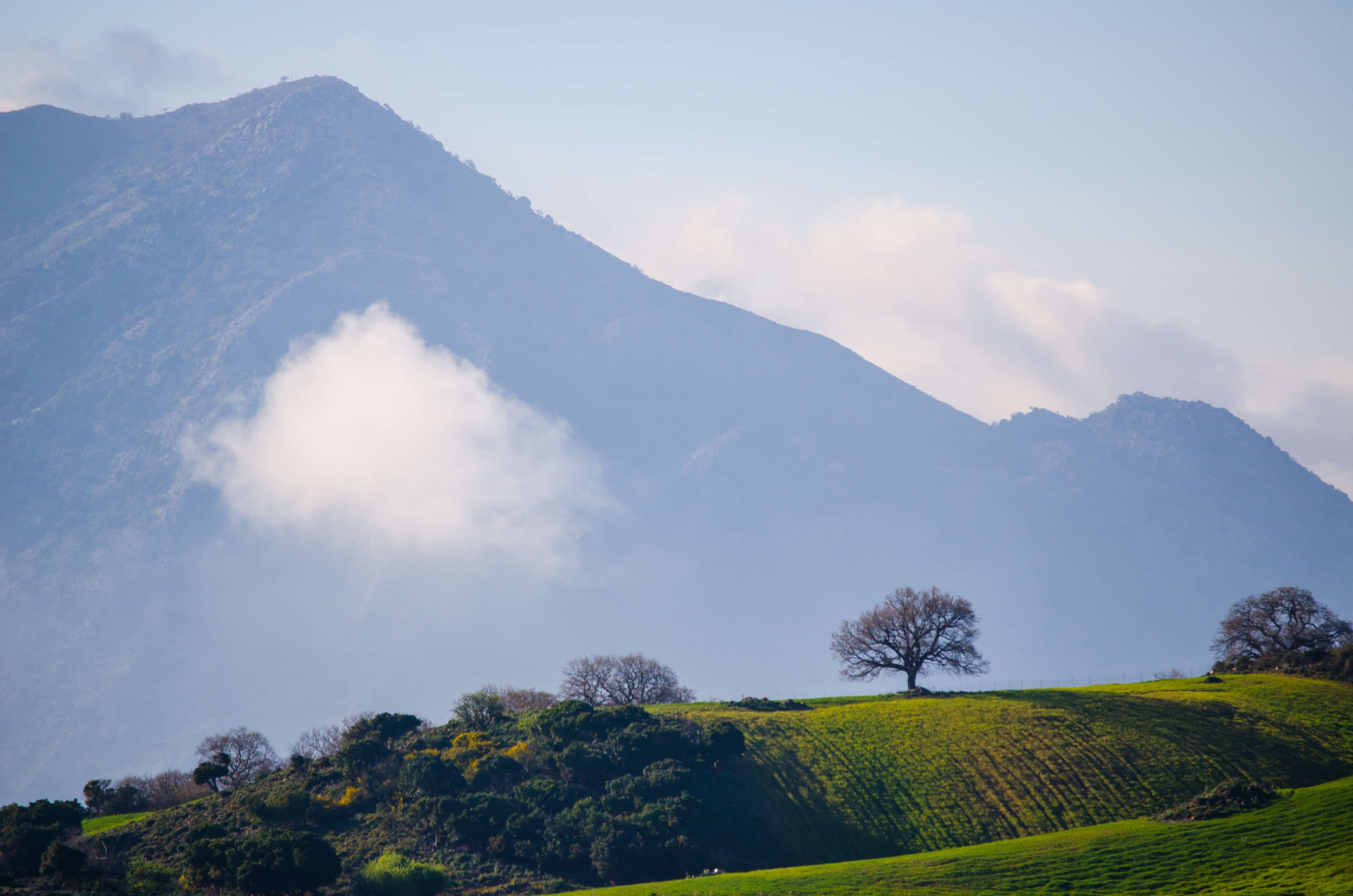 Hill Stations